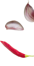 bg2-2